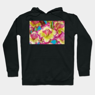 Gladiolus  'Laguna'  Also known as 'Flevo Laguna' Hoodie